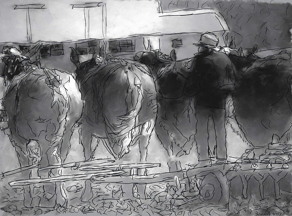 Amish Farmer With Plow Team, Chester Co PA....