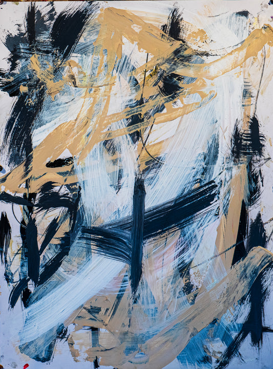 Our Secret Universe, #204, $350